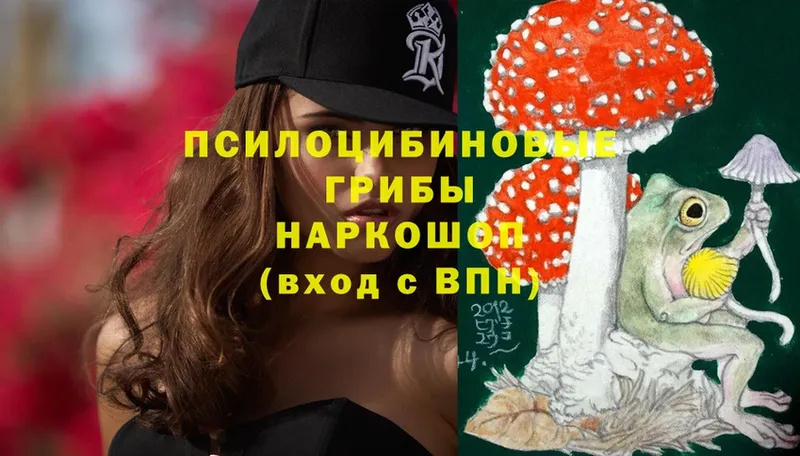 Псилоцибиновые грибы Psilocybine cubensis  Буинск 